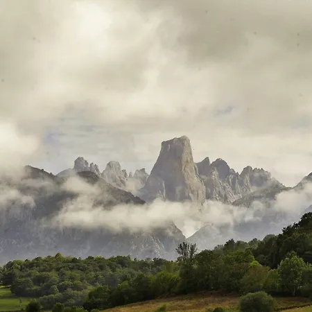 酒店 阿尔达酒店 2*