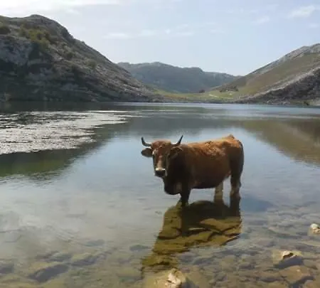 酒店 阿尔达酒店